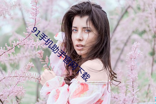 91手机(jī)助手(shǒu)官网(wǎng)下载