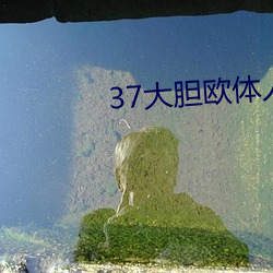 37大胆(膽)欧体(體)人文艺术