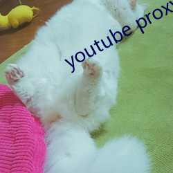 youtube proxy