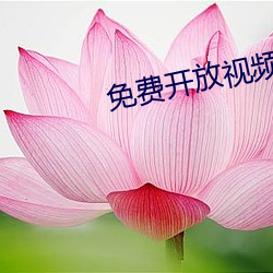 免(免)费开(開)放视频(頻)聊天软(軟)件(件)