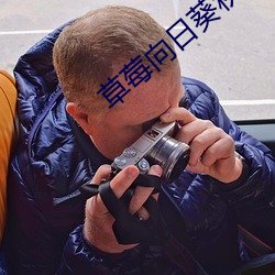 草莓向日葵秋葵番茄丝瓜绿巨人