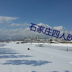 石家庄四人砍20人死了多少