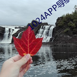 1024APP导航