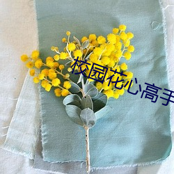校园(園)花(花)心高手