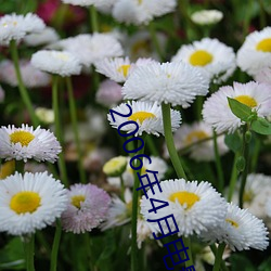 2006年4月電影