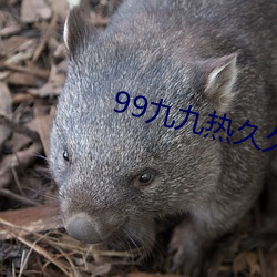 99()()þֻ(ֻ)()Ʒ