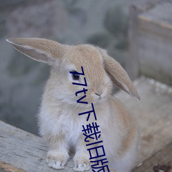 77tv下(xià)载旧(jiù)版本