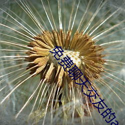 免费聊(liáo)天交友的app