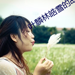 叶麟林皓雪的故事最新章节