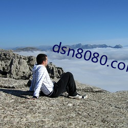 dsn8080.com