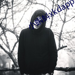 С()xkdapp3.0