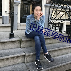 正品藍導航ldh