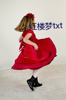 紅樓夢txt