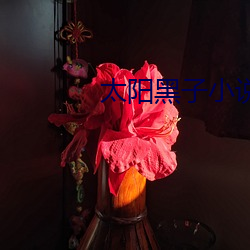 太阳黑(黑)子小(小)说
