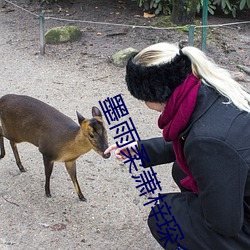 墨雨柔萧梓琛全文免费阅读的小说 （采光）