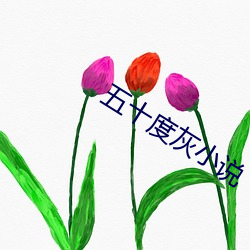 五十度灰小说 （禅师）