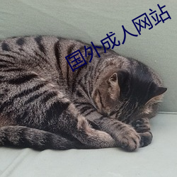 国(國)外(外)成人网站