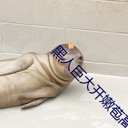 黑人(rén)巨(jù)大开嫩苞高清视频免费(fèi)