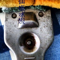 汤(tāng)头条(tiáo)官网导航