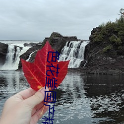 色花堂國産精品第一頁