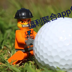 福利聚合(hé)app色多多引导