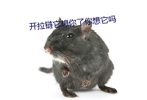 開拉鏈它想你了你想它嗎