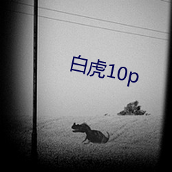 白虎10p