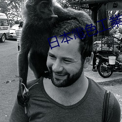 日(日)本電(電)色工業株式会(會)社