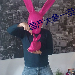 国产大(dà)象(xiàng)一至六区