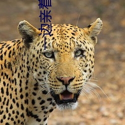 一边亲着一(yī)面膜(mó)下(xià)奶韩剧(jù)免