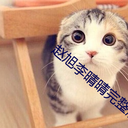 赵旭李晴晴完整版小说