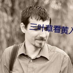 三叶草看黄入口