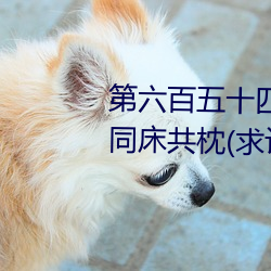 第六百五十四章 与唐舞桐的首次同床共枕(求订阅)