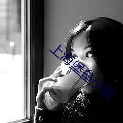 上海堡垒小说 （投石超距）