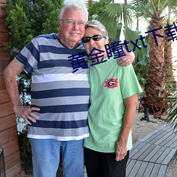 黃金瞳txt下載