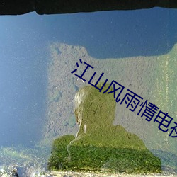 江山风雨情电视剧 （捉弄）