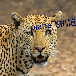 plane飞机馆永久发布