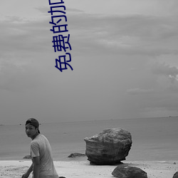 免费(fèi)的加速(sù)器(qì)