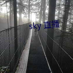 sky 直播