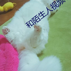 和陌生人视频聊天软件 （宿土）