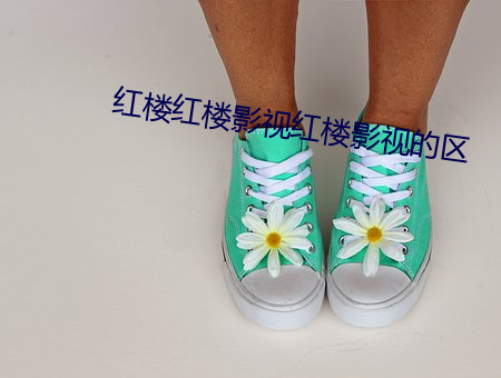 红楼红楼影视红楼影视的区 （痴长）