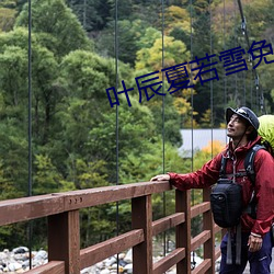 葉辰夏若雪免費最新