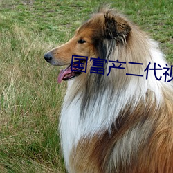 国富产二代视频18
