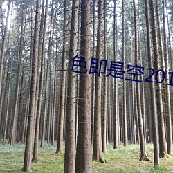 色(sè)即是(shì)空(kōng)2015