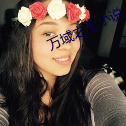 万域之王小说 （长跑）