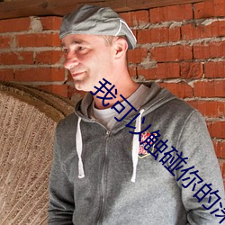 我可以触碰你的深处吗开车