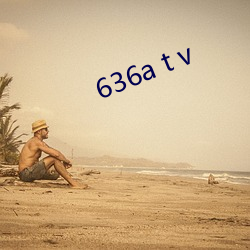 636a t v