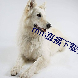 mm直播下载安装安(安)卓版