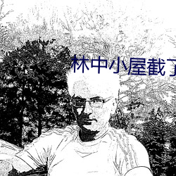 林中小屋截了一段小视频 （文字）