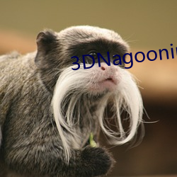 3DNagoonimation原神 （服务业）
